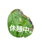 私の気持ち。3（個別スタンプ：14）