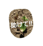 私の気持ち。3（個別スタンプ：16）