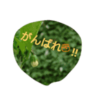 私の気持ち。3（個別スタンプ：19）