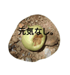 私の気持ち。3（個別スタンプ：21）