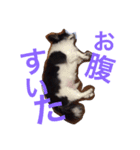 りっちー（個別スタンプ：3）