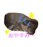 きなこと暮らす（個別スタンプ：2）