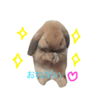 きなこと暮らす（個別スタンプ：4）