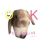 きなこと暮らす（個別スタンプ：6）