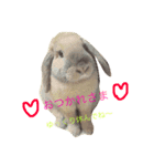 きなこと暮らす（個別スタンプ：8）