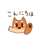豆柴 小麦（個別スタンプ：2）