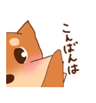 豆柴 小麦（個別スタンプ：3）