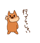 豆柴 小麦（個別スタンプ：4）