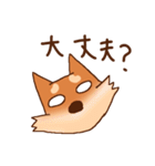 豆柴 小麦（個別スタンプ：8）