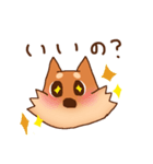 豆柴 小麦（個別スタンプ：10）
