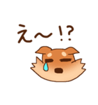 豆柴 小麦（個別スタンプ：18）