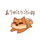 豆柴 小麦（個別スタンプ：19）