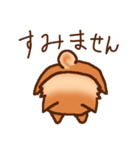 豆柴 小麦（個別スタンプ：22）
