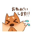 豆柴 小麦（個別スタンプ：24）
