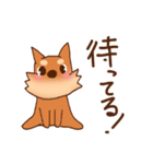 豆柴 小麦（個別スタンプ：28）