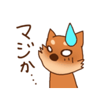 豆柴 小麦（個別スタンプ：29）
