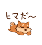 豆柴 小麦（個別スタンプ：31）