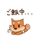 豆柴 小麦（個別スタンプ：32）