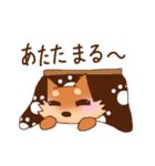 豆柴 小麦（個別スタンプ：34）