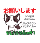 朝昼夜の犬日本語タイ語（個別スタンプ：8）