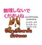 朝昼夜の犬日本語タイ語（個別スタンプ：11）