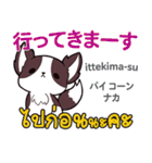 朝昼夜の犬日本語タイ語（個別スタンプ：13）