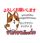 朝昼夜の犬日本語タイ語（個別スタンプ：16）