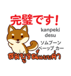 朝昼夜の犬日本語タイ語（個別スタンプ：22）