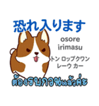 朝昼夜の犬日本語タイ語（個別スタンプ：31）