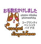 朝昼夜の犬日本語タイ語（個別スタンプ：36）