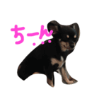 メルシー（個別スタンプ：4）