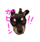 メルシー（個別スタンプ：7）