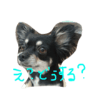 メルシー（個別スタンプ：8）