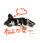 メルシー（個別スタンプ：11）