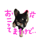 メルシー（個別スタンプ：14）