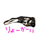 メルシー（個別スタンプ：18）