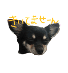 メルシー（個別スタンプ：31）