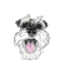 Sketching Schnauzers（個別スタンプ：13）