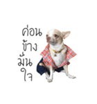 Dog Chopper（個別スタンプ：4）