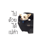 Dog Chopper（個別スタンプ：16）