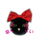 ポンポン猫と夏野菜（個別スタンプ：24）