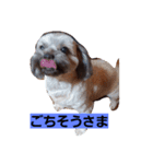 ワンダフルー（個別スタンプ：2）