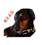 ワンダフルー（個別スタンプ：7）