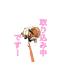 保護犬スタンプ（個別スタンプ：10）