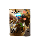 愛犬  ②（個別スタンプ：3）