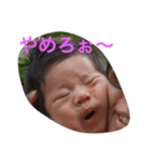 とらのすけスタンプ（個別スタンプ：5）