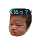 とらのすけスタンプ（個別スタンプ：6）