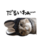 ねこむすめ(ФωФ)（個別スタンプ：11）