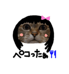 ねこむすめ(ФωФ)（個別スタンプ：13）