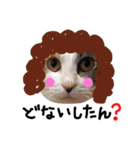 ねこむすめ(ФωФ)（個別スタンプ：15）